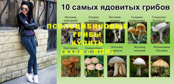 наркотики Михайловка