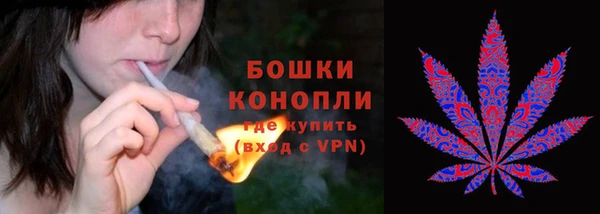 экстази Михайлов