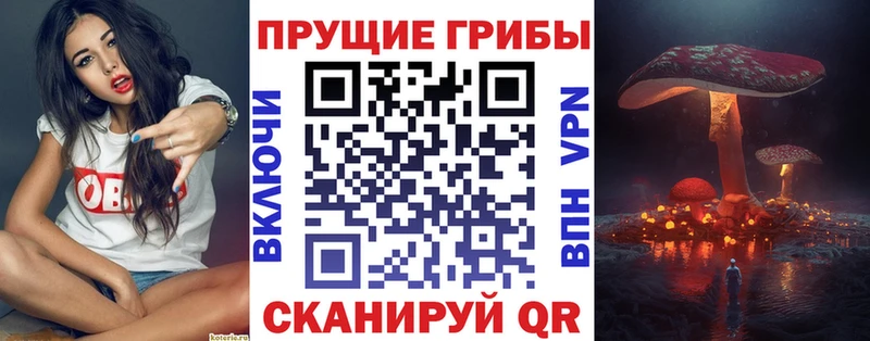 Псилоцибиновые грибы мицелий  Галич 