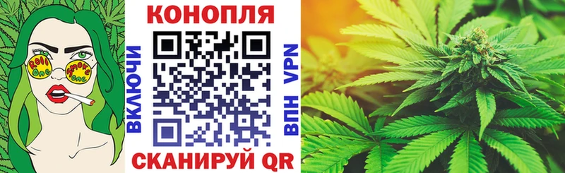 купить наркотики цена  Галич  darknet формула  Конопля OG Kush 